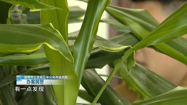 男子出狱前3天被发现身负命案 警方敏锐嗅觉破陈年悬案