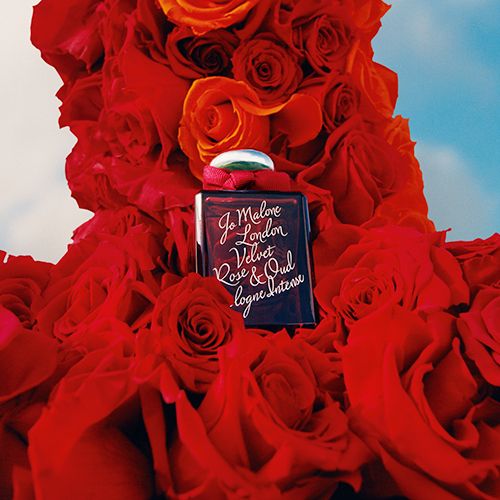 Special Edition Velvet Rose & Oud Cologne Intense 限量版丝绒玫瑰与乌木芳醇古龙水50ml / HK$1,165