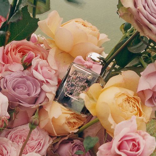 Rose Blush Cologne 限量版玫瑰果冻古龙水 50ml / HK$970