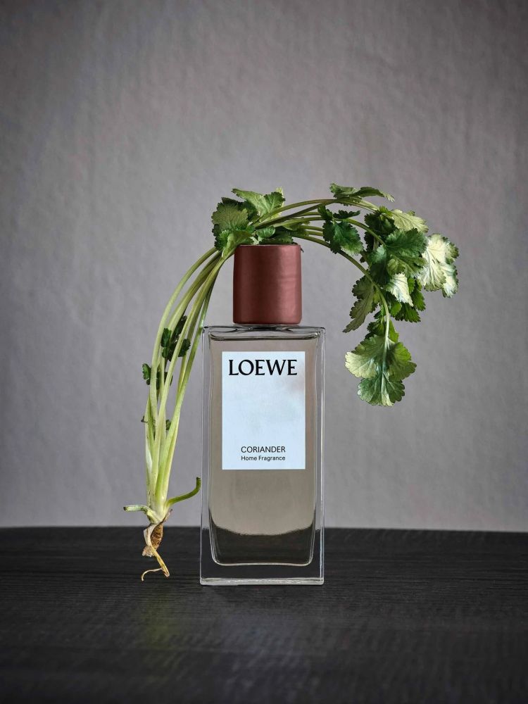 LOEWE Coriander room spray 芫荽室内喷雾 150ml | HK$ 800 西班牙奢侈品牌LOEWE为广大 「芫荽控」们推出了专属香水，这样就能每天都沐浴在芫荽地诱人香气中了！