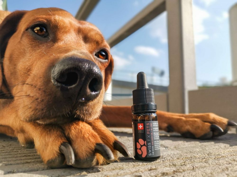 SWISS FX The Dog with 6% CBD & Salmon Oil HK$480/10ml (600mg)