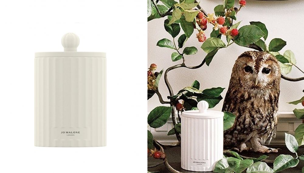 Wild Berry & Bramble Townhouse Candle 野莓与黑莓灌木蜡烛(£90.00/300g) | 沿着阳光明媚的小路走去，穿过棘手的灌木被芬芳包围，红莓的新鲜的气味不断传来。